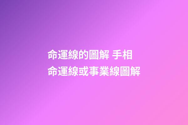 命運線的圖解 手相 命運線或事業線圖解-第1張-觀點-玄機派